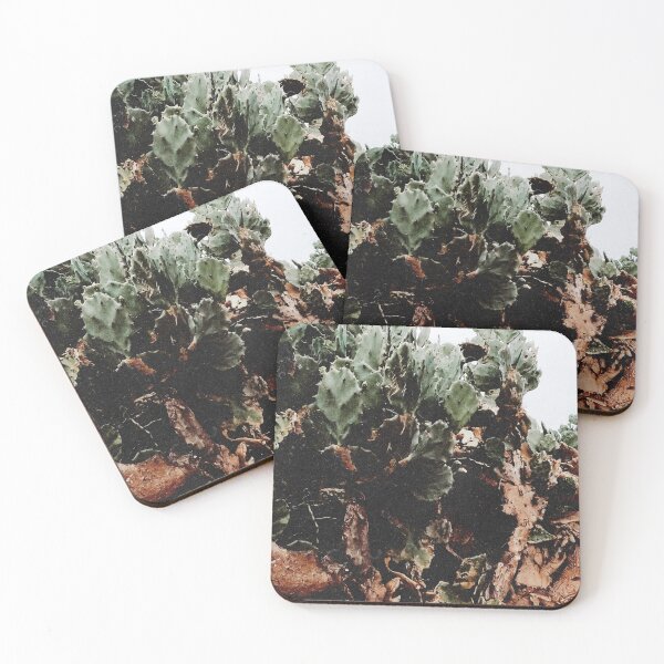 Item preview, Resilient Cactus Roots designed and sold by anafrancisconi.