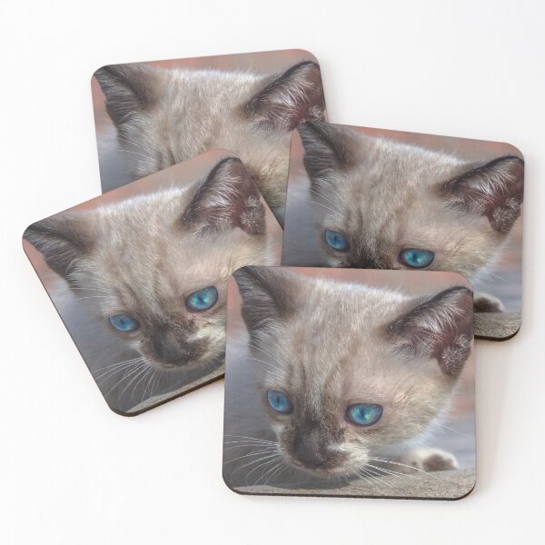 Item preview, cat in the vase. designed and sold by Nino rocha fotografia.
