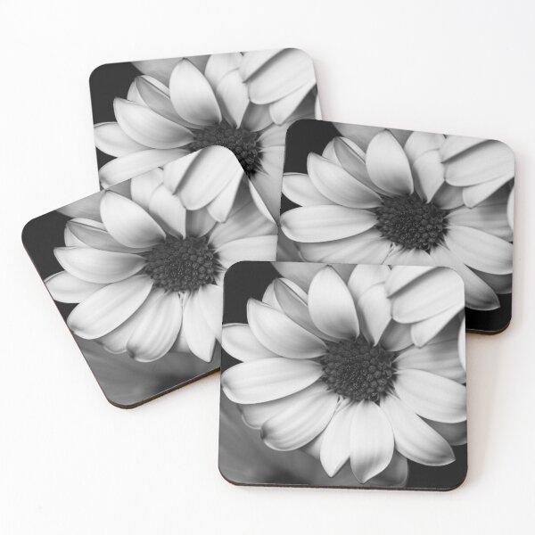 Item preview, Black and White African Daisy Design  designed and sold by Jann3s_Ts.
