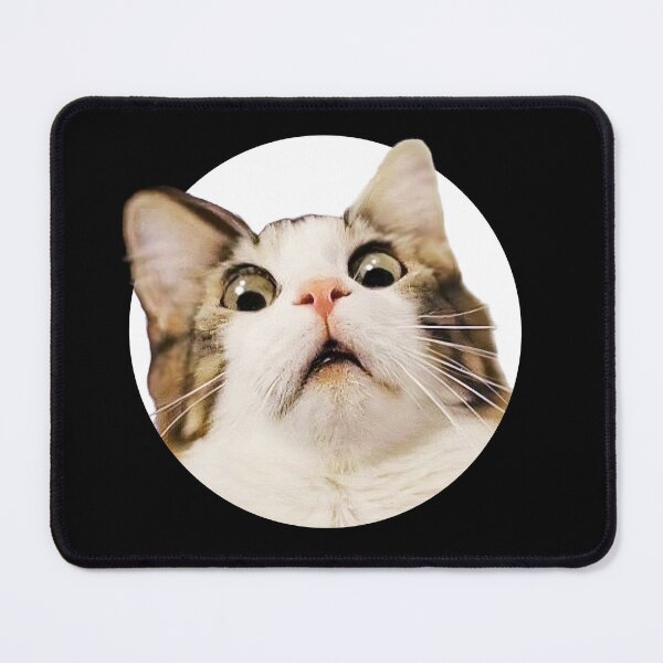 Item preview, Cat Memes Collection, 9 in 1 designed and sold by PixelPunny.