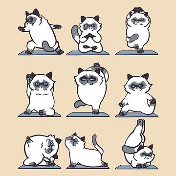 Artwork thumbnail, Himalayan Cat Yoga by Huebucket