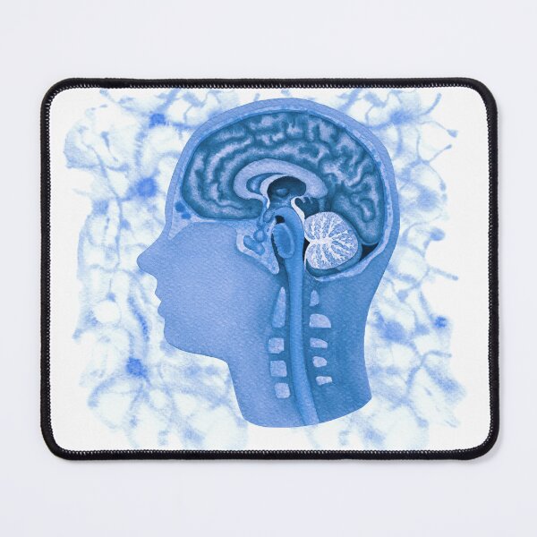 Item preview, Hand painted watercolor brain and nervous system designed and sold by Ekaterina Glazkova.