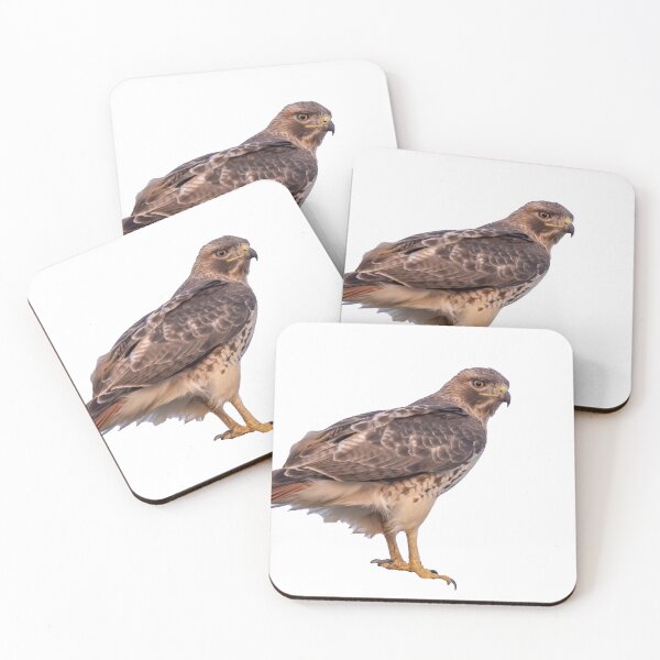 Item preview, Red tail hawk designed and sold by FlyingLilly.