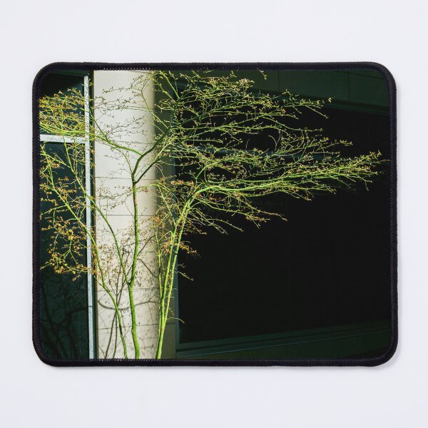 Item preview, Modern Building with Young Tree designed and sold by asun5.