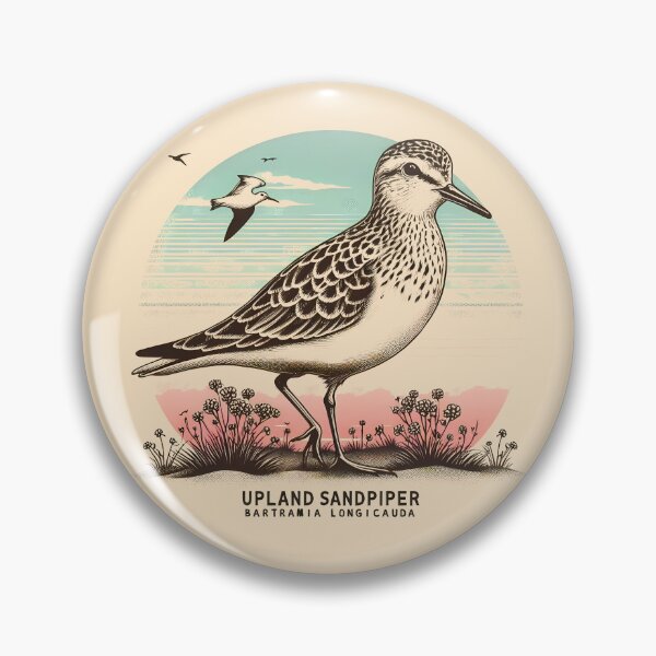 Item preview, Upland Sandpiper designed and sold by theAVIARY7.