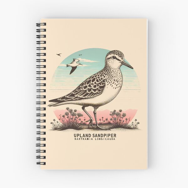 Item preview, Upland Sandpiper designed and sold by theAVIARY7.