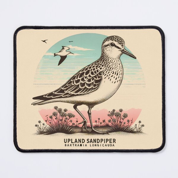 Item preview, Upland Sandpiper designed and sold by theAVIARY7.