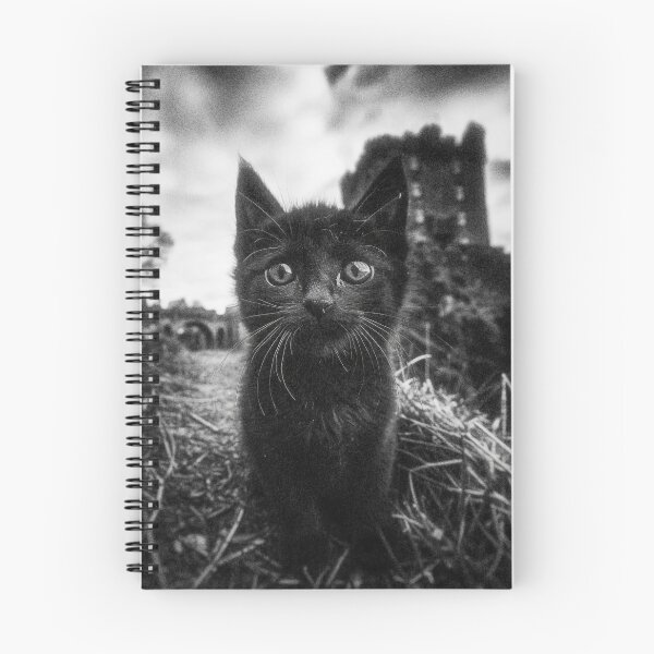 Item preview, Black Easter Kitten designed and sold by View From The Grave.