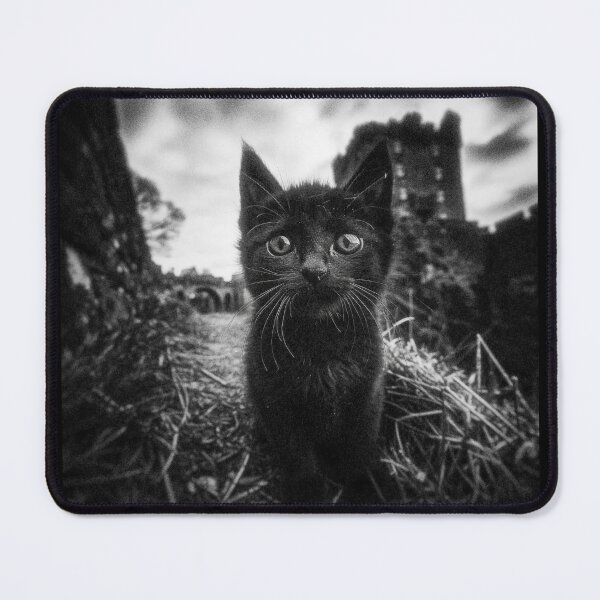 Item preview, Black Easter Kitten designed and sold by View From The Grave.