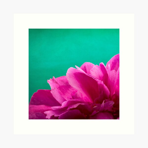 Item preview, Abstract Peony on a green background designed and sold by floralsbykusuma.