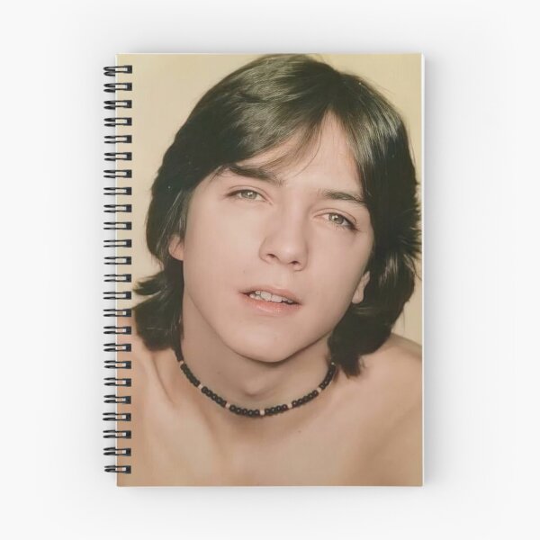 Item preview, David Cassidy Young designed and sold by TribeMystic.
