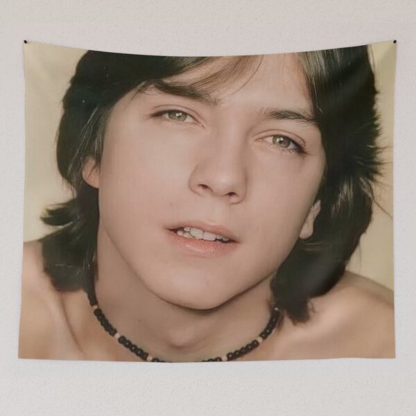 Item preview, David Cassidy Young designed and sold by TribeMystic.