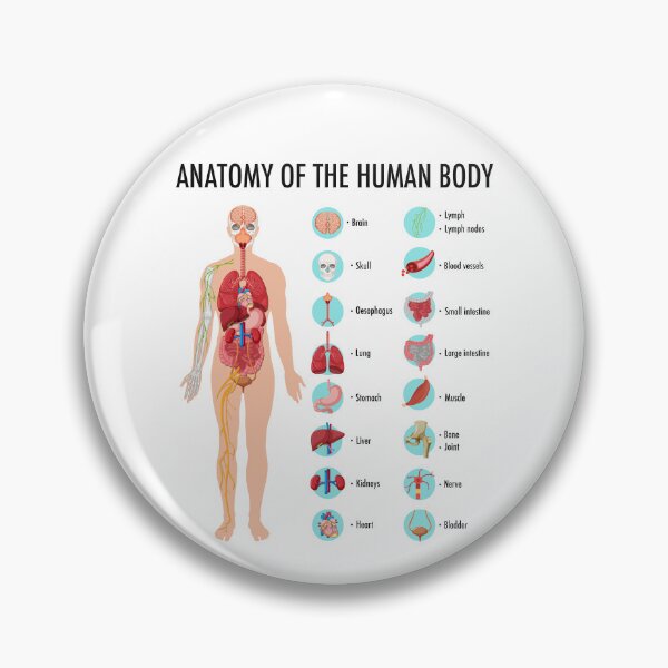 Item preview, Anatomy of the Human Body – Human Organs Educational Chart designed and sold by InspireSticker.
