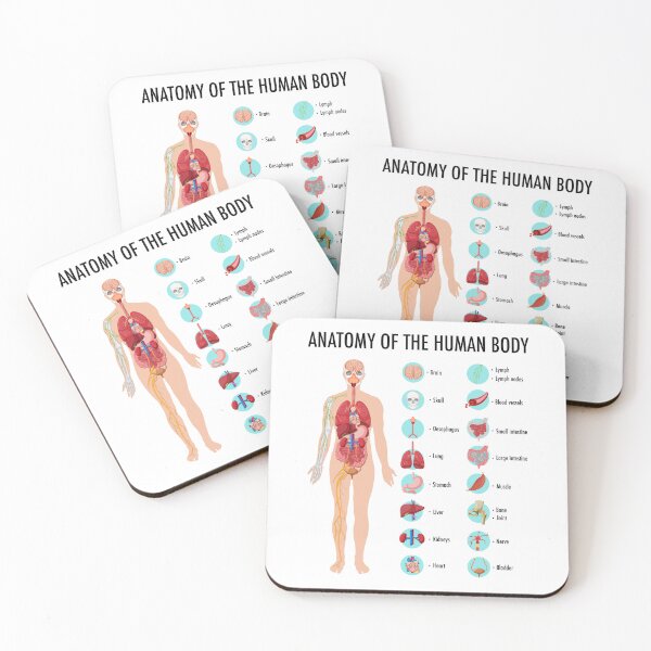 Item preview, Anatomy of the Human Body – Human Organs Educational Chart designed and sold by InspireSticker.