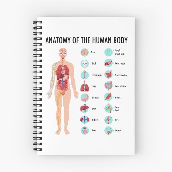 Item preview, Anatomy of the Human Body – Human Organs Educational Chart designed and sold by InspireSticker.