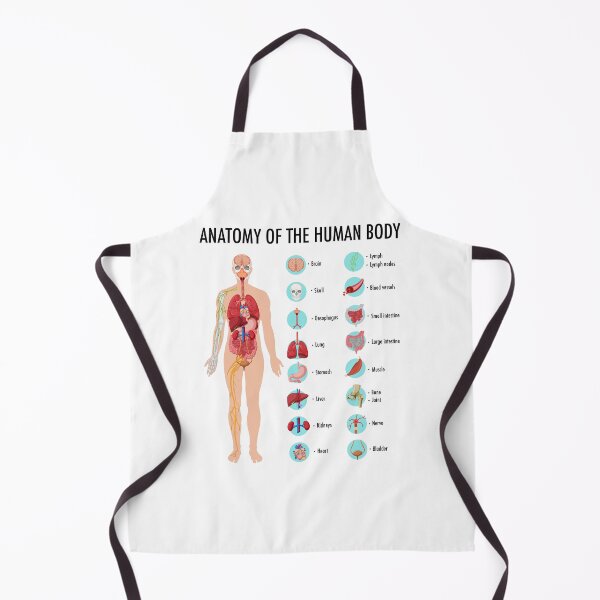 Item preview, Anatomy of the Human Body – Human Organs Educational Chart designed and sold by InspireSticker.
