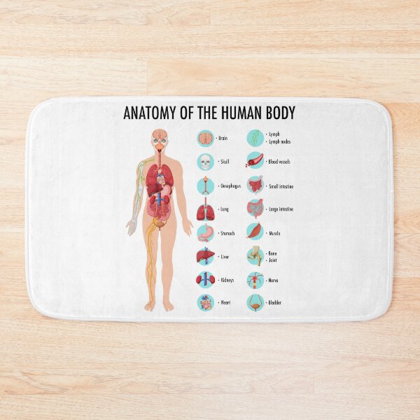 Item preview, Anatomy of the Human Body – Human Organs Educational Chart designed and sold by InspireSticker.