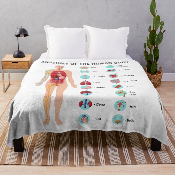 Item preview, Anatomy of the Human Body – Human Organs Educational Chart designed and sold by InspireSticker.