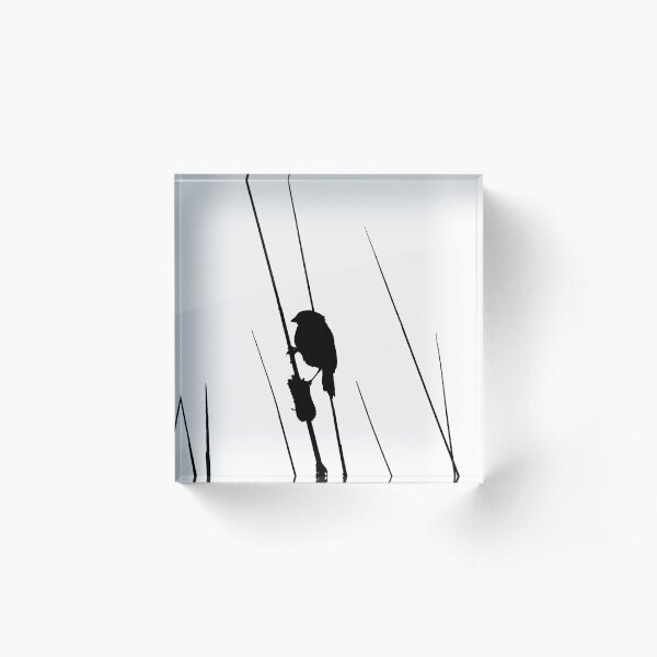 Sparrow Acrylic Block