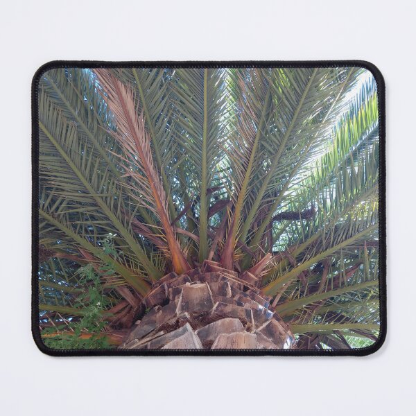 Item preview, Palm Tree designed and sold by Quantum-Life.