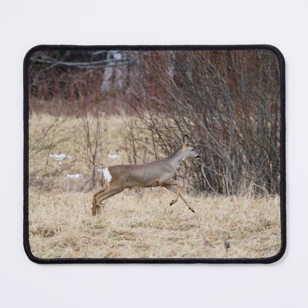 Item preview, Run run run. Roe deer designed and sold by Jouko Lehto Photography.