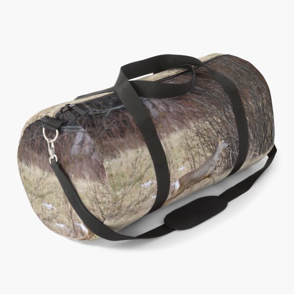 Item preview, Run run run.  Roe deer designed and sold by Jouko Lehto Photography.