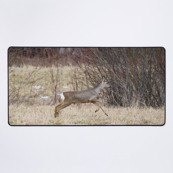 Item preview, Run run run. Roe deer designed and sold by Jouko Lehto Photography.
