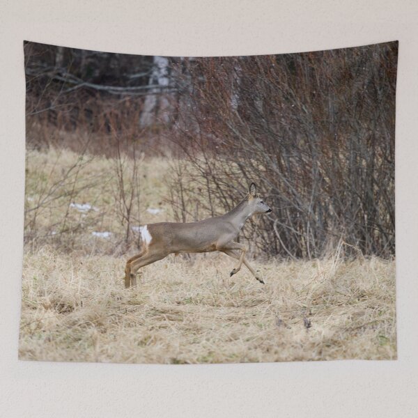 Item preview, Run run run.  Roe deer designed and sold by Jouko Lehto Photography.