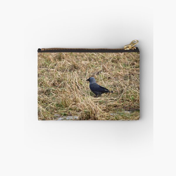 Item preview, Jack of the fields. Western jackdaw designed and sold by Jouko Lehto Photography.