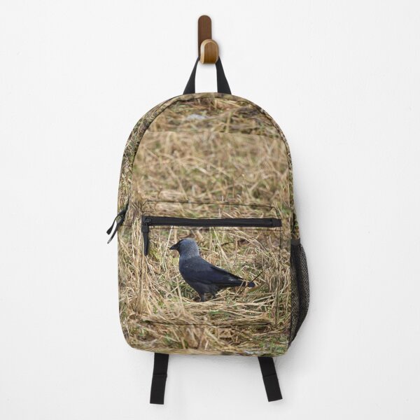 Item preview, Jack of the fields. Western jackdaw designed and sold by Jouko Lehto Photography.