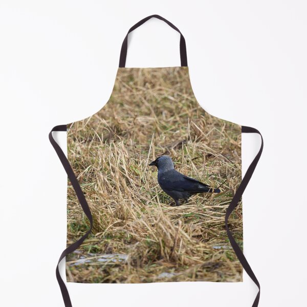 Item preview, Jack of the fields. Western jackdaw designed and sold by Jouko Lehto Photography.