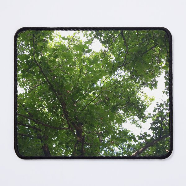 Item preview, Sky gazing designed and sold by Quantum-Life.
