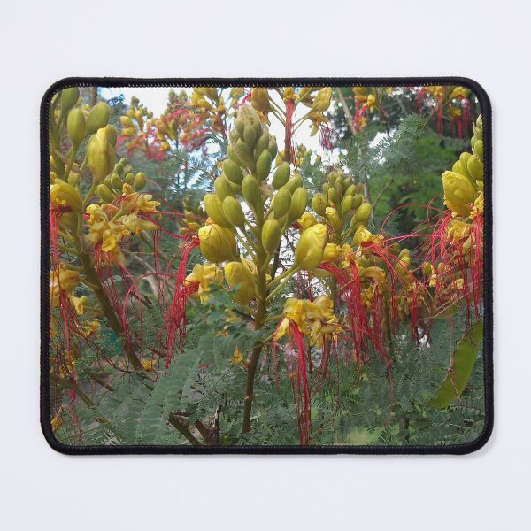 Item preview, Yellow bird of paradise designed and sold by Quantum-Life.