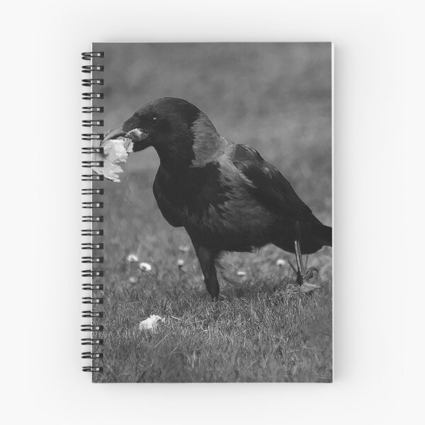 Item preview, Hooded Crow in Black and White with Food in Beak  designed and sold by LivingDeadGirlx.