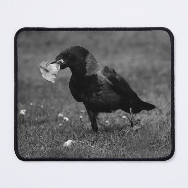 Item preview, Hooded Crow in Black and White with Food in Beak designed and sold by LivingDeadGirlx.