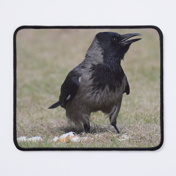 Item preview, Hooded Crow designed and sold by LivingDeadGirlx.