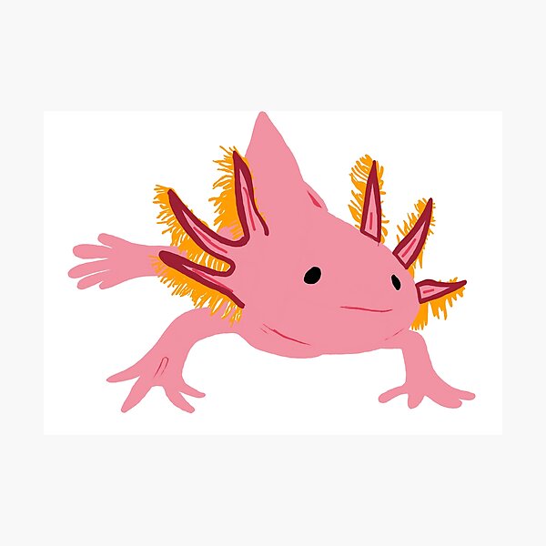 Item preview, Axolotl designed and sold by Knackart.