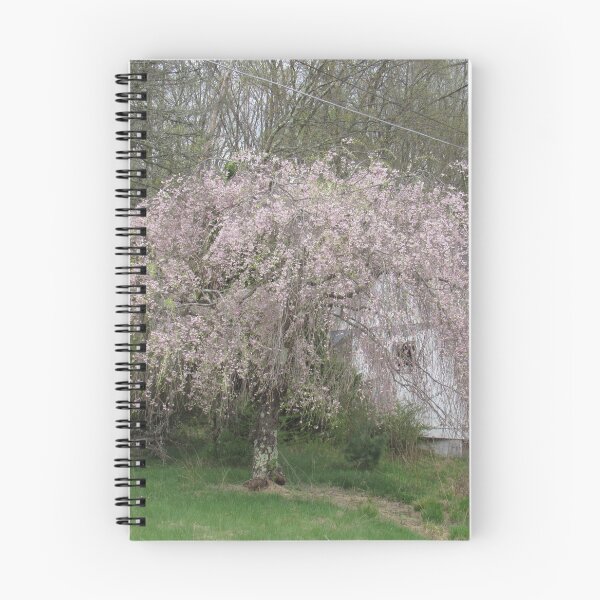 Item preview, Pretty in Pink designed and sold by NatureSplendor.