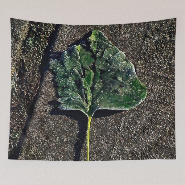 Item preview, Frozen in Time designed and sold by Steve Walser.