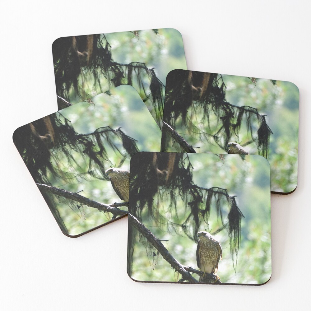 Item preview, Coasters (Set of 4) designed and sold by Raulboy.