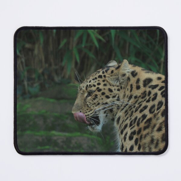 Item preview, Lovely Leopard designed and sold by miradorpictures.