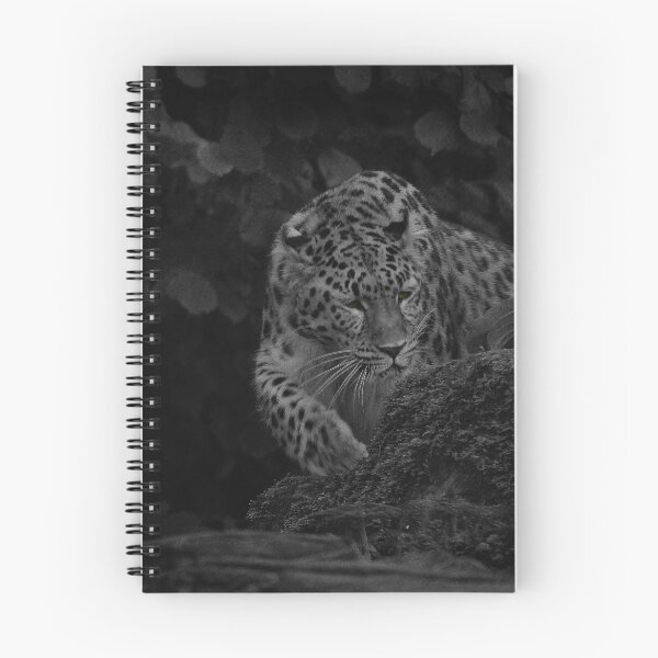 Item preview, On the prowl  designed and sold by miradorpictures.
