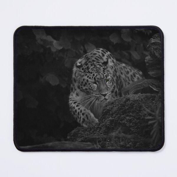 Item preview, On the prowl  designed and sold by miradorpictures.