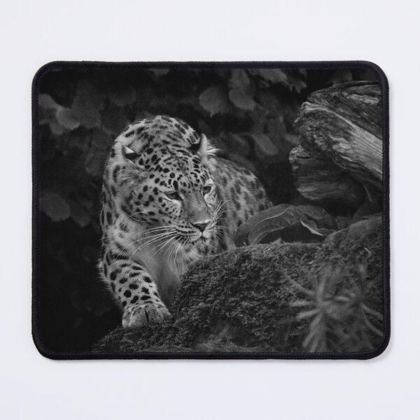 Item preview, Out of the darkness designed and sold by miradorpictures.