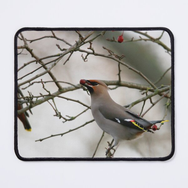 Item preview, Best berries designed and sold by miradorpictures.