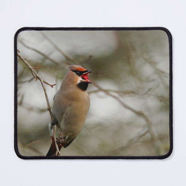 Item preview, Dinner time  designed and sold by miradorpictures.