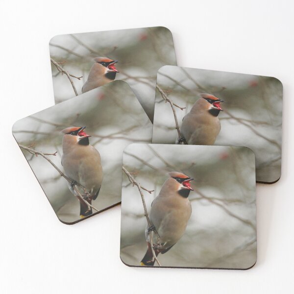 Item preview, Waxwing dinner time designed and sold by miradorpictures.