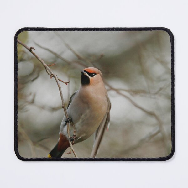 Item preview, Wings out designed and sold by miradorpictures.
