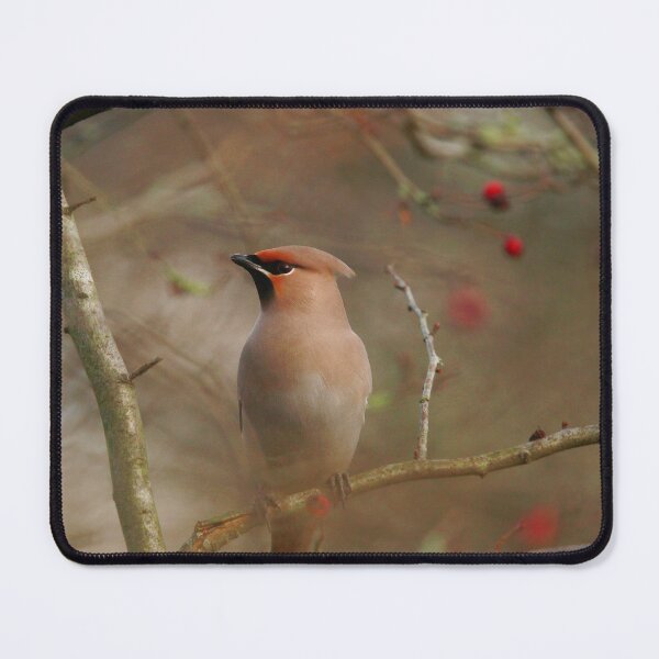 Item preview, Berry Buffet designed and sold by miradorpictures.