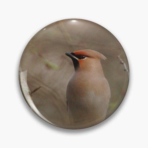 Item preview, Waxwing winter designed and sold by miradorpictures.